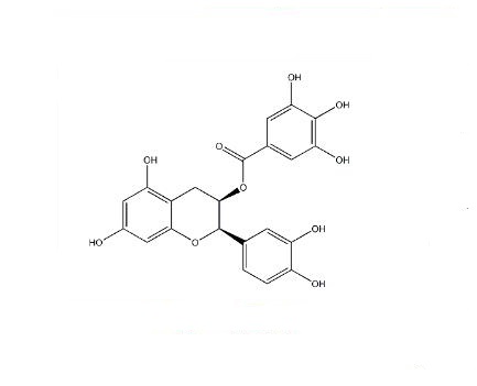 表兒茶素沒食子酸酯|1257-08-5