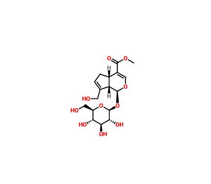 梔子苷|24512-63-8 Geniposide