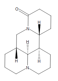 槐定堿|6882-68-4