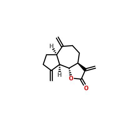 去氫木香內(nèi)酯 74299-48-2 Dehydrocostus lactone