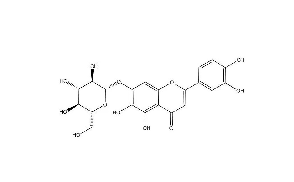 6-羥基木犀草苷|54300-65-1